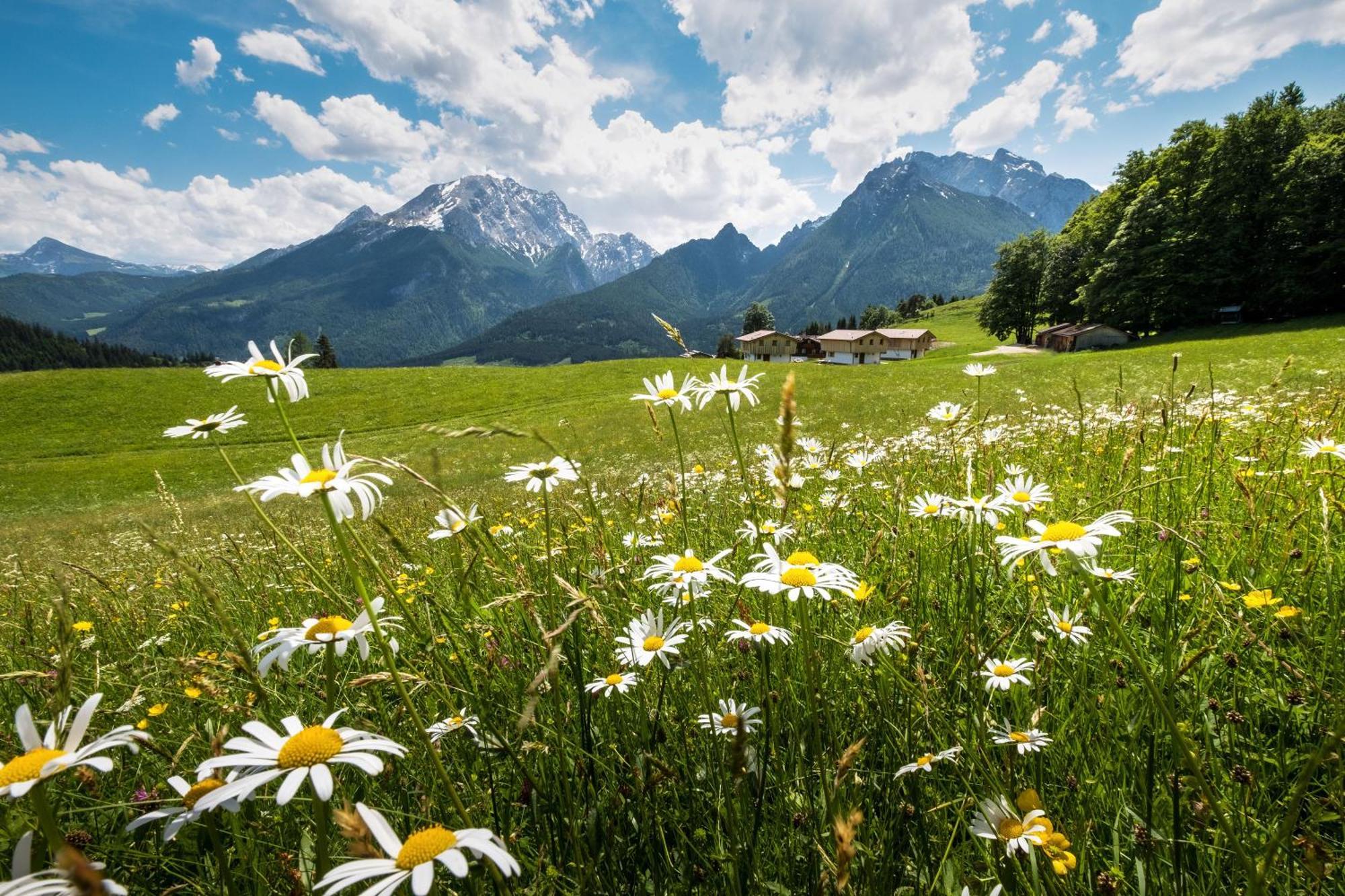 Ettlerlehen Chalets Ramsau bei Berchtesgaden Eksteriør billede